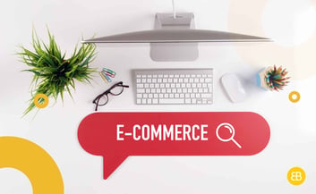 Difference between Ecommerce and Regular Website